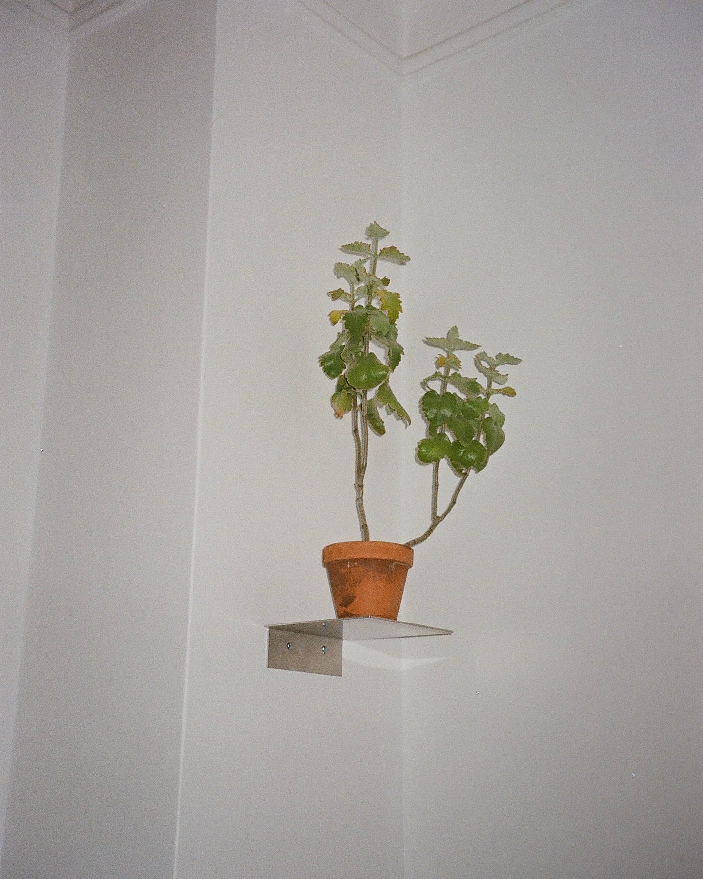 Floating pedestal