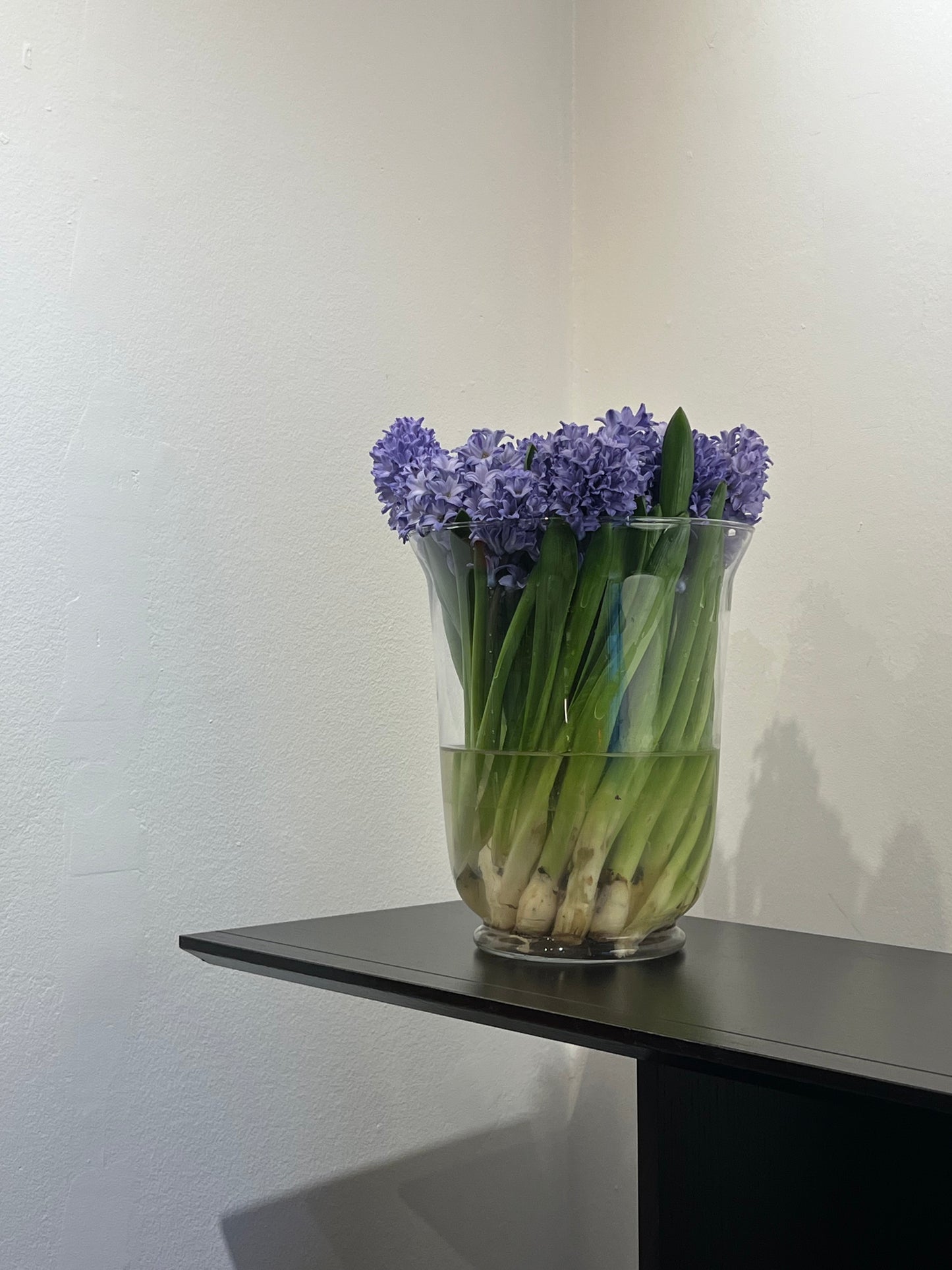 Big glass vase