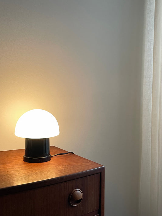 Mushroom light