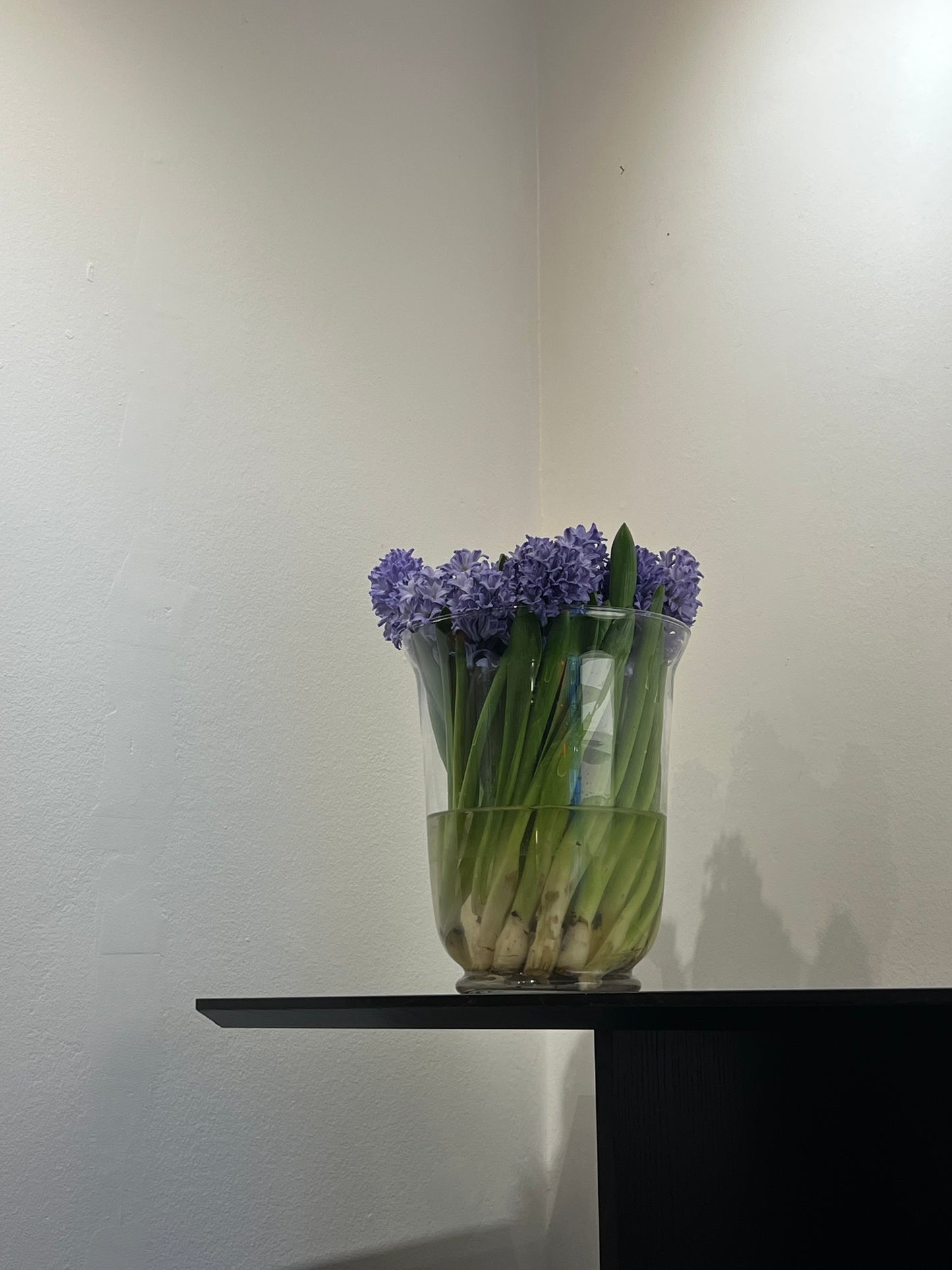 Big glass vase