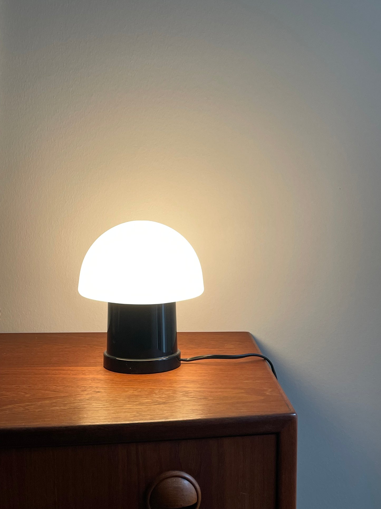 Mushroom light
